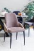 Diego Dining Chair - Taupe 3